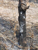 DSCN8851.JPG