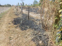 DSCN8846.JPG