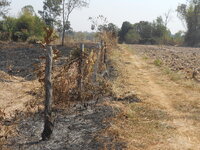 DSCN8863.JPG