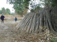 DSCN8988.JPG
