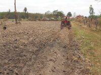 DSCN9018.JPG