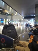 IMG_20250110_233545_241.jpg