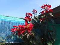 DSCN9778.JPG