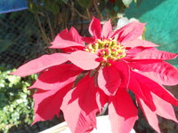 DSCN9779.JPG