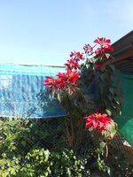 DSCN9777~2.JPG