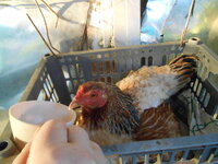 DSCN9811.JPG