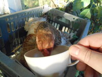 DSCN9809.JPG