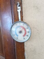 IMG_20250113_080039_672.jpg