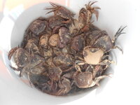 DSCN9776.JPG