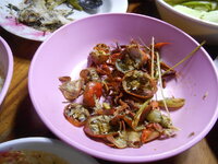 DSCN9824.JPG