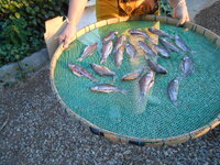 DSCN9814.JPG