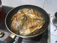 DSCN9825.JPG