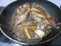 DSCN9828.JPG