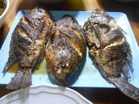 DSCN9833.JPG