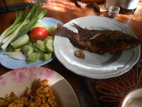 DSCN9838.JPG