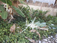 DSCN9811.JPG