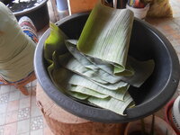 DSCN9805.JPG