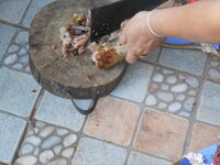 DSCN9813.JPG