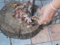 DSCN9816.JPG