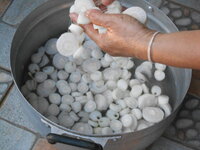 DSCN9809.JPG