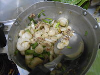 DSCN9820.JPG