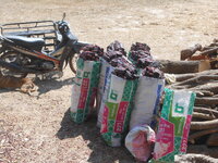 DSCN9787.JPG
