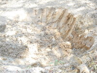 DSCN9793.JPG