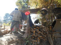 DSCN9795.JPG