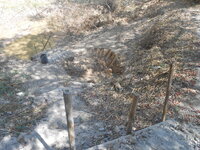 DSCN9792.JPG