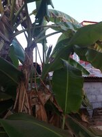 IMG_20250115_170614_068.jpg