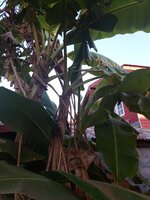 IMG_20250115_170721_885.jpg