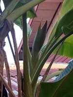 IMG_20250115_170643_158.jpg