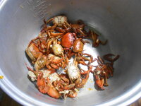 DSCN9830.JPG