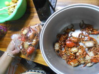 DSCN9831.JPG