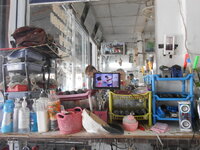 DSCN9839.JPG