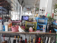 DSCN9841.JPG