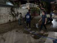 IMG_1937.jpeg