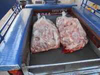 DSCN9874.JPG