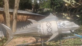 IMG_20250117_130353.jpg