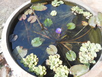DSCN9897.JPG