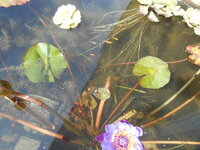 DSCN9899.JPG