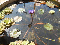 DSCN9900.JPG