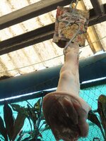 DSCN0080~2.JPG