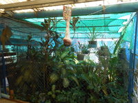 DSCN0078.JPG