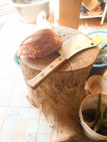 DSCN0085~2.JPG
