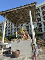 IMG_2155.jpeg
