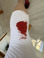 IMG_2158.jpeg