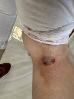 IMG_2159.jpeg