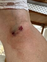 IMG_2160.jpeg