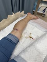 IMG_2169.jpeg